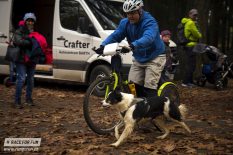 Forest Race 12.11. 2016